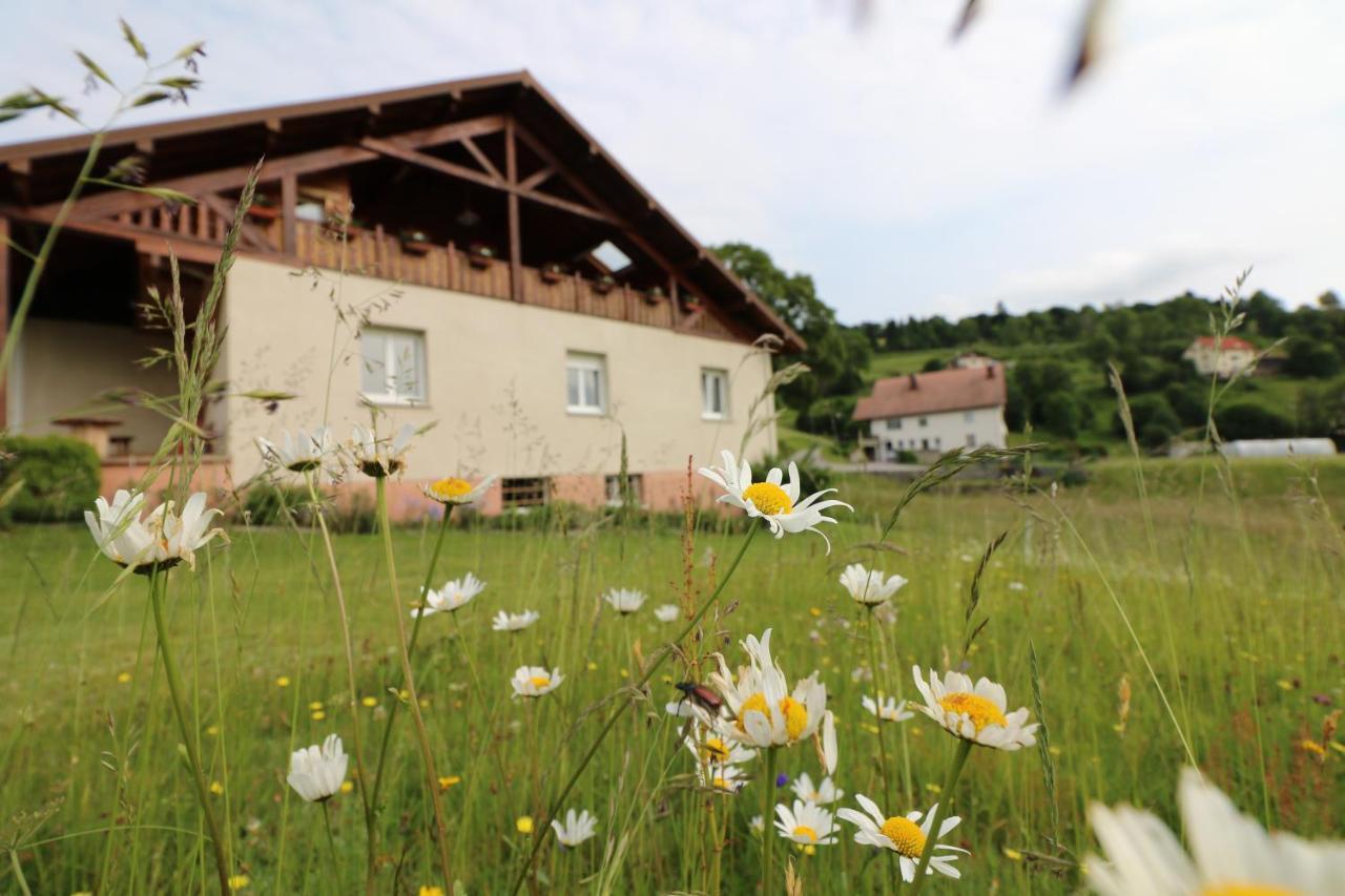 Les Chantenees Hotel La Bresse Buitenkant foto