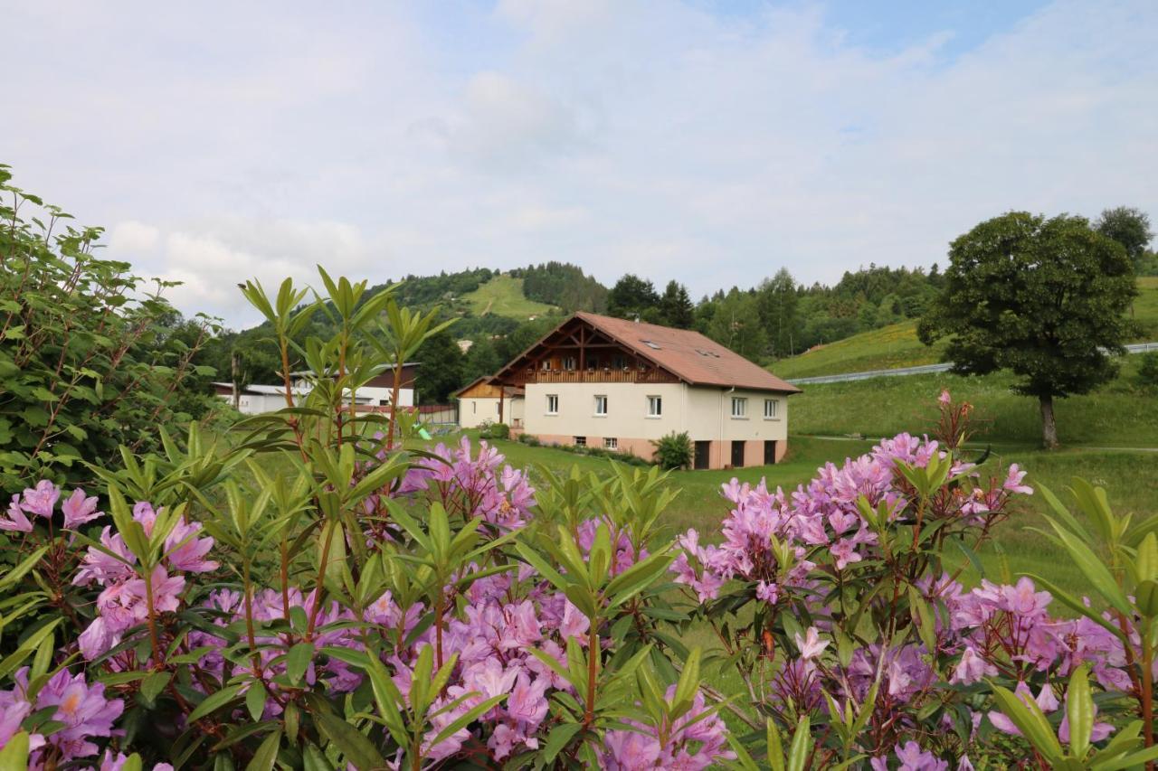 Les Chantenees Hotel La Bresse Buitenkant foto