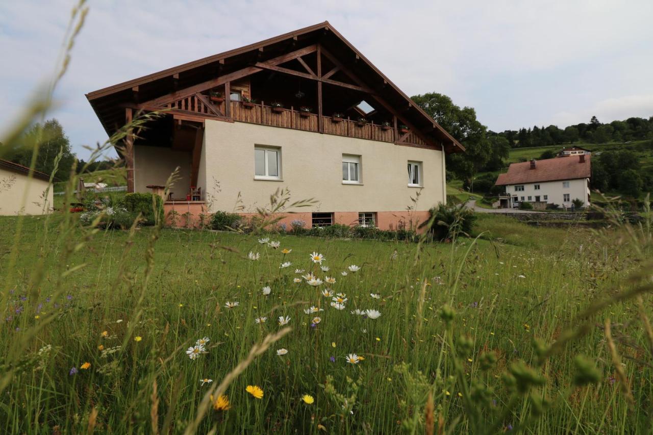 Les Chantenees Hotel La Bresse Buitenkant foto